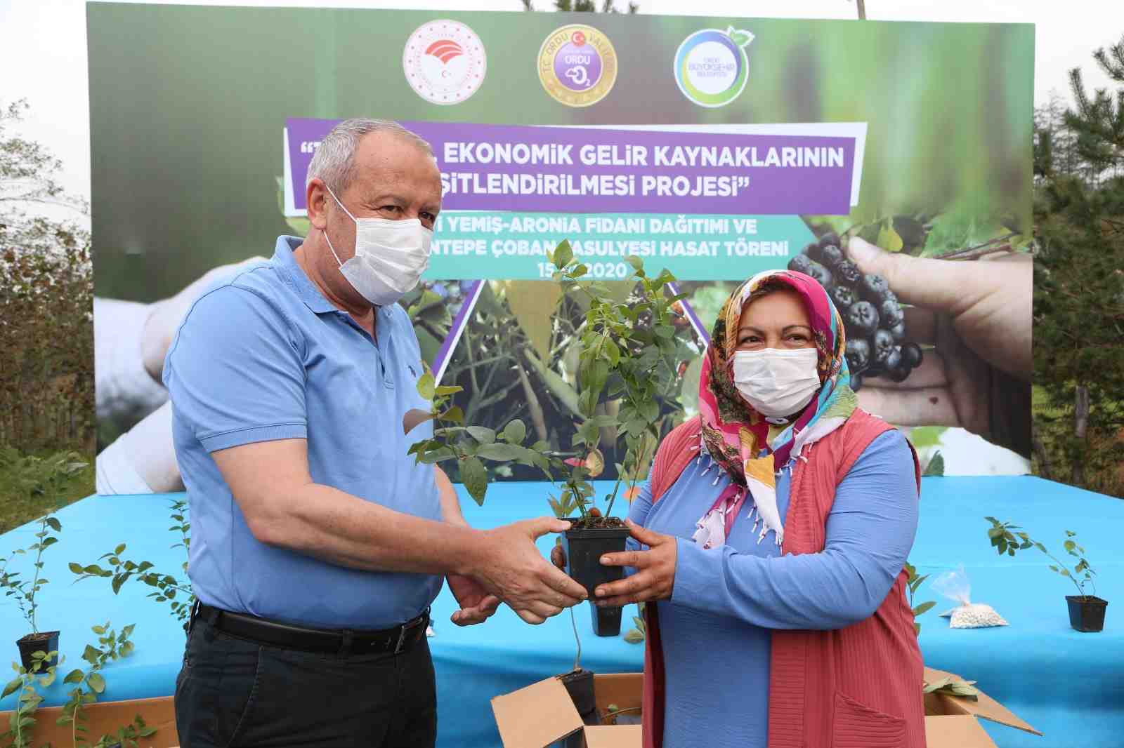 ORDU’NUN YENİ GÖZDESİ MAVİ YEMİŞ